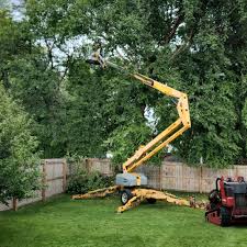 Best Arborist Consultation Services  in Ambridge, PA